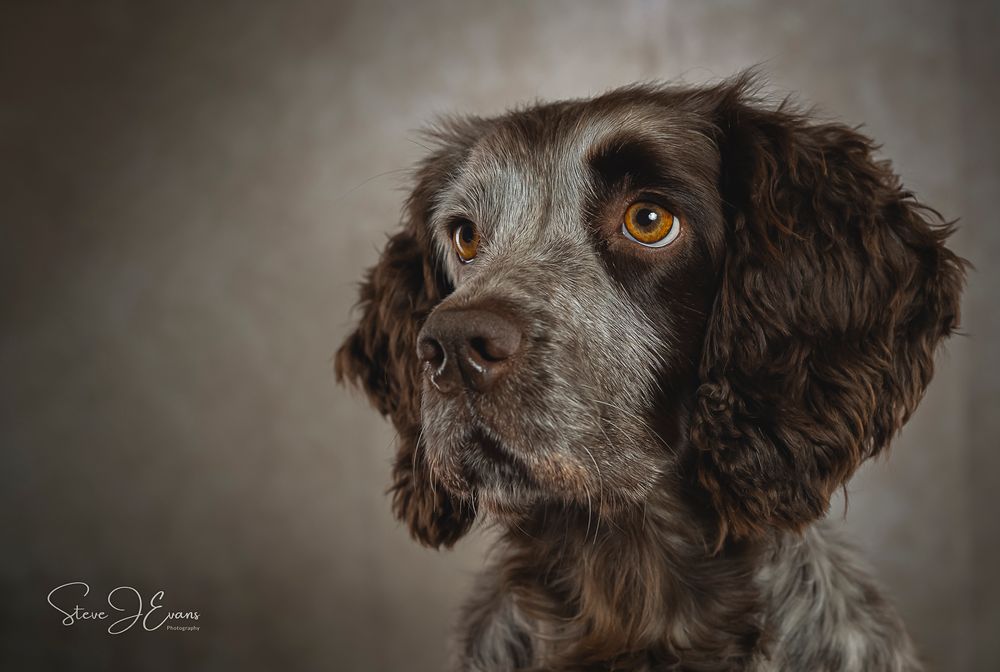 Steve Evans Filey photographer shooting studio portraits either in my small home studio, at your home or on a location of your choice.