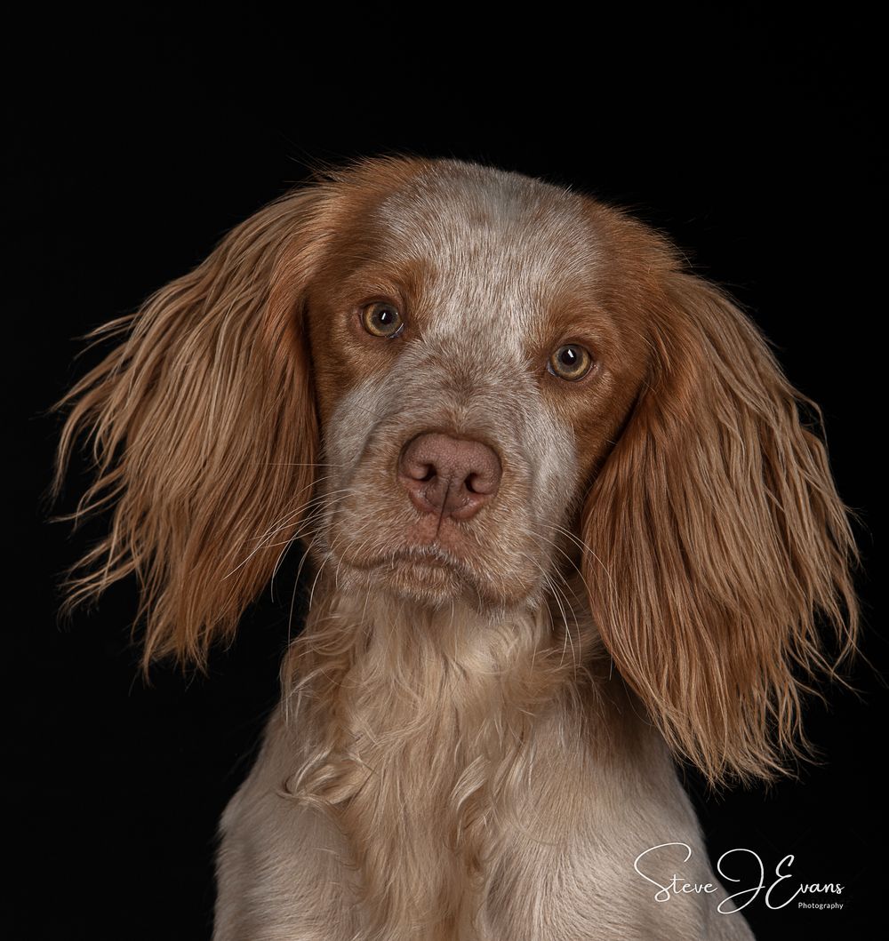 Steve Evans Filey photographer shooting studio portraits either in my small home studio, at your home or on a location of your choice.