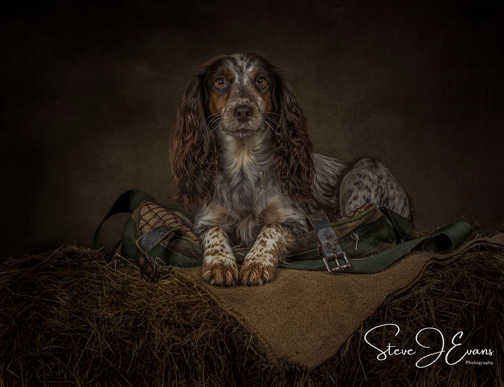 Steve Evans Filey photographer shooting studio portraits either in my small home studio, at your home or on a location of your choice.