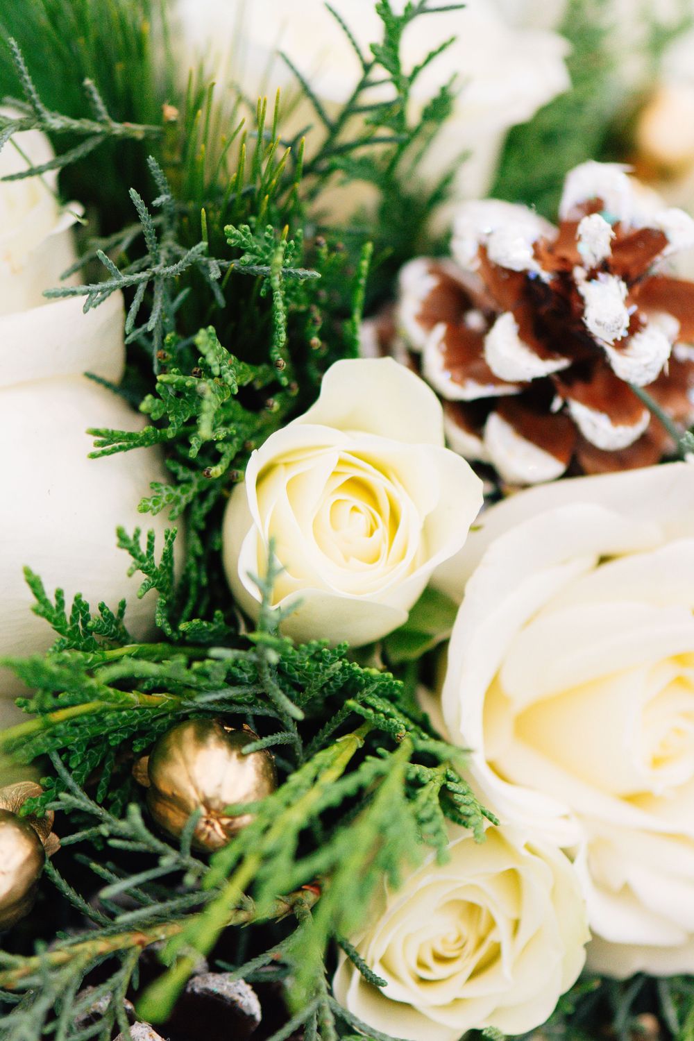 White roses and pine cones arranged with evergreen branches and gold ornaments in a festive winter display.