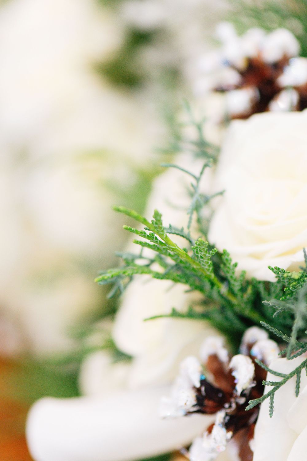 Close-up of white roses and snowy pinecones with green pine branches in soft focus.