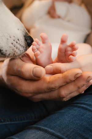 Newborn and dog