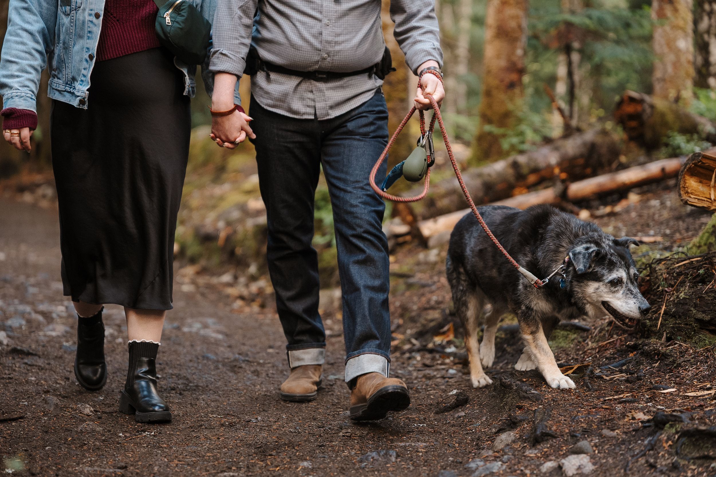 Two people walking together on a forest trail with their dog on a leash.