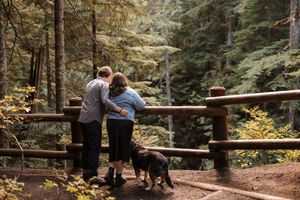Forest path with wooden railings and tall evergreen trees in natural lighting.