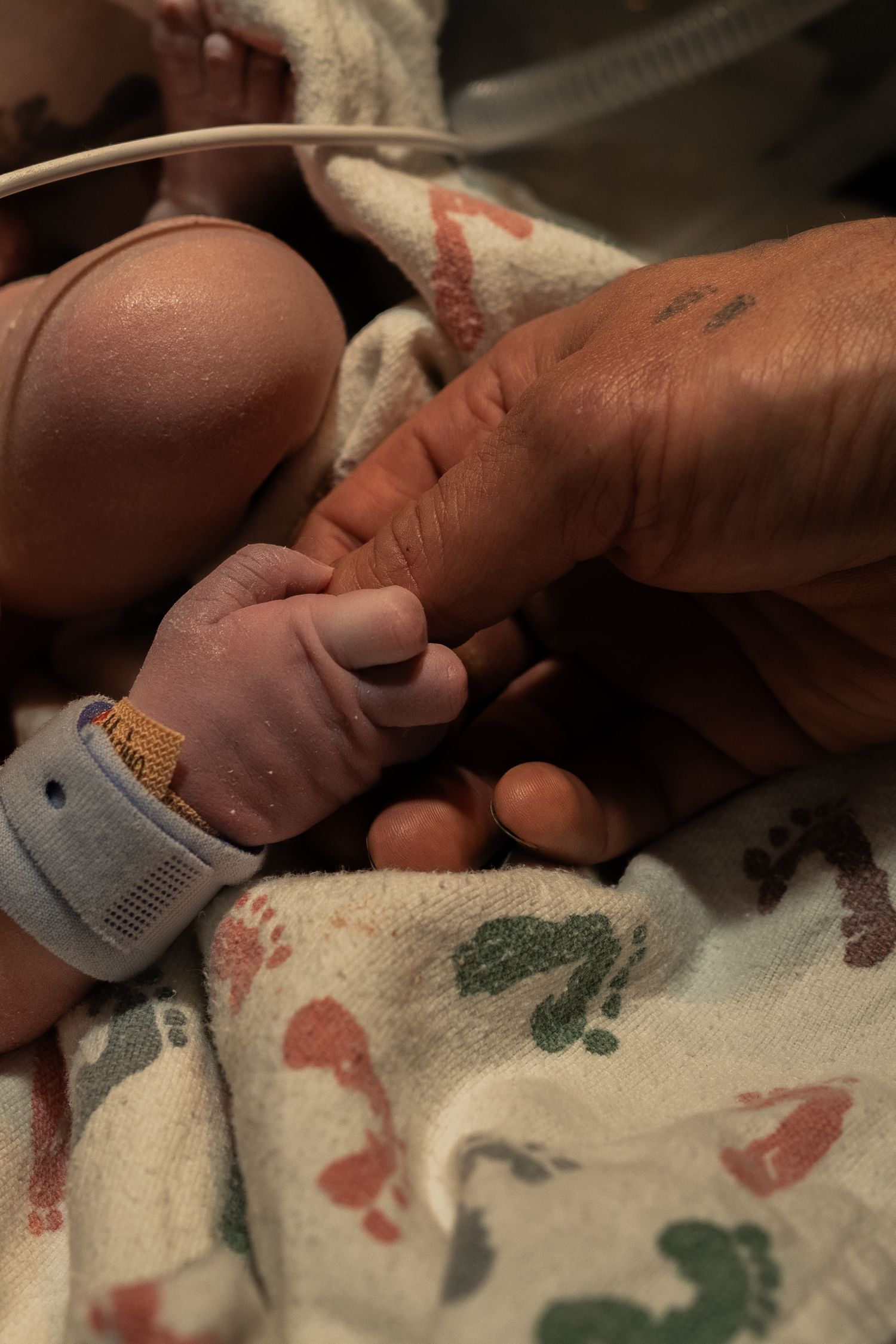 Birth photography, dad holding baby hand.
Northern Colorado birth photographer, home birth photographer, free birth photographer, Noco