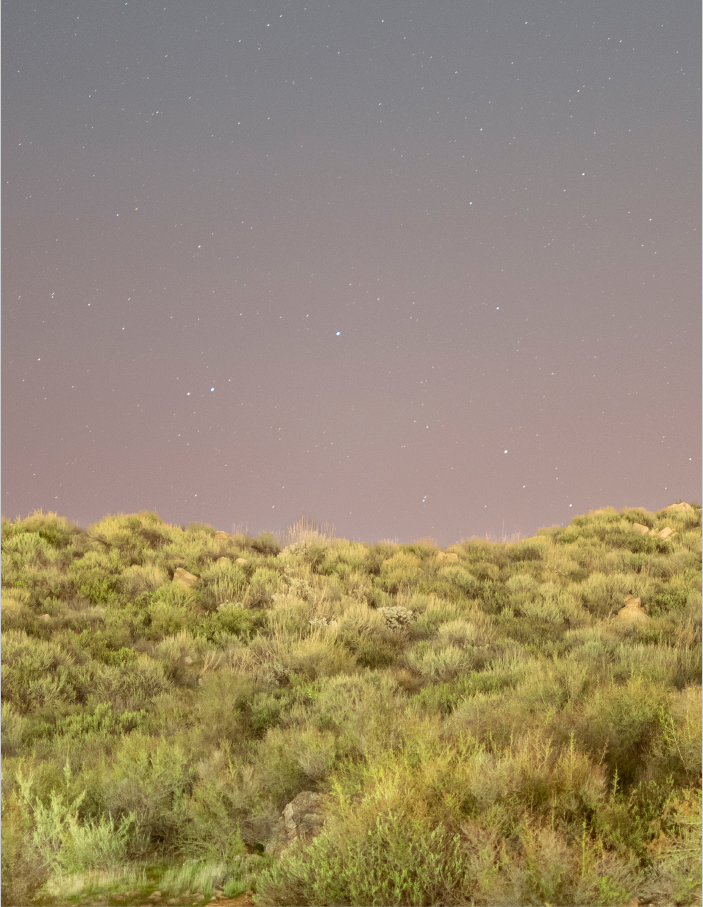 starry night sky with purple hues
