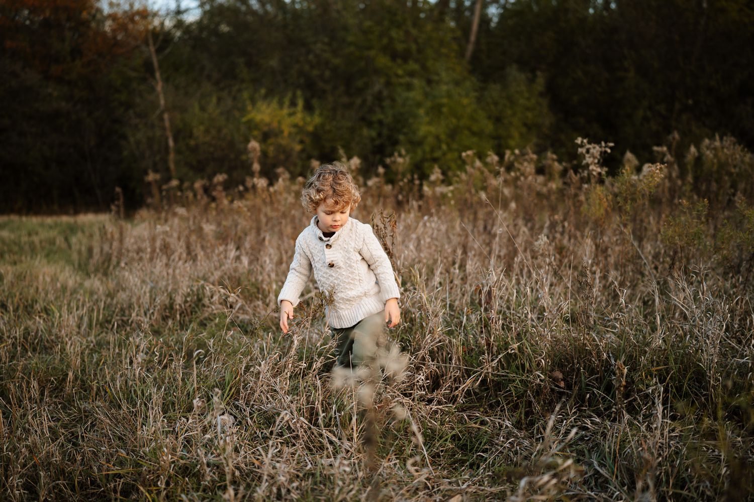 A boy walks through a sunlit meadow with tall dried grasses and wildflowers during golden hour at family lifestyle session in Palatine