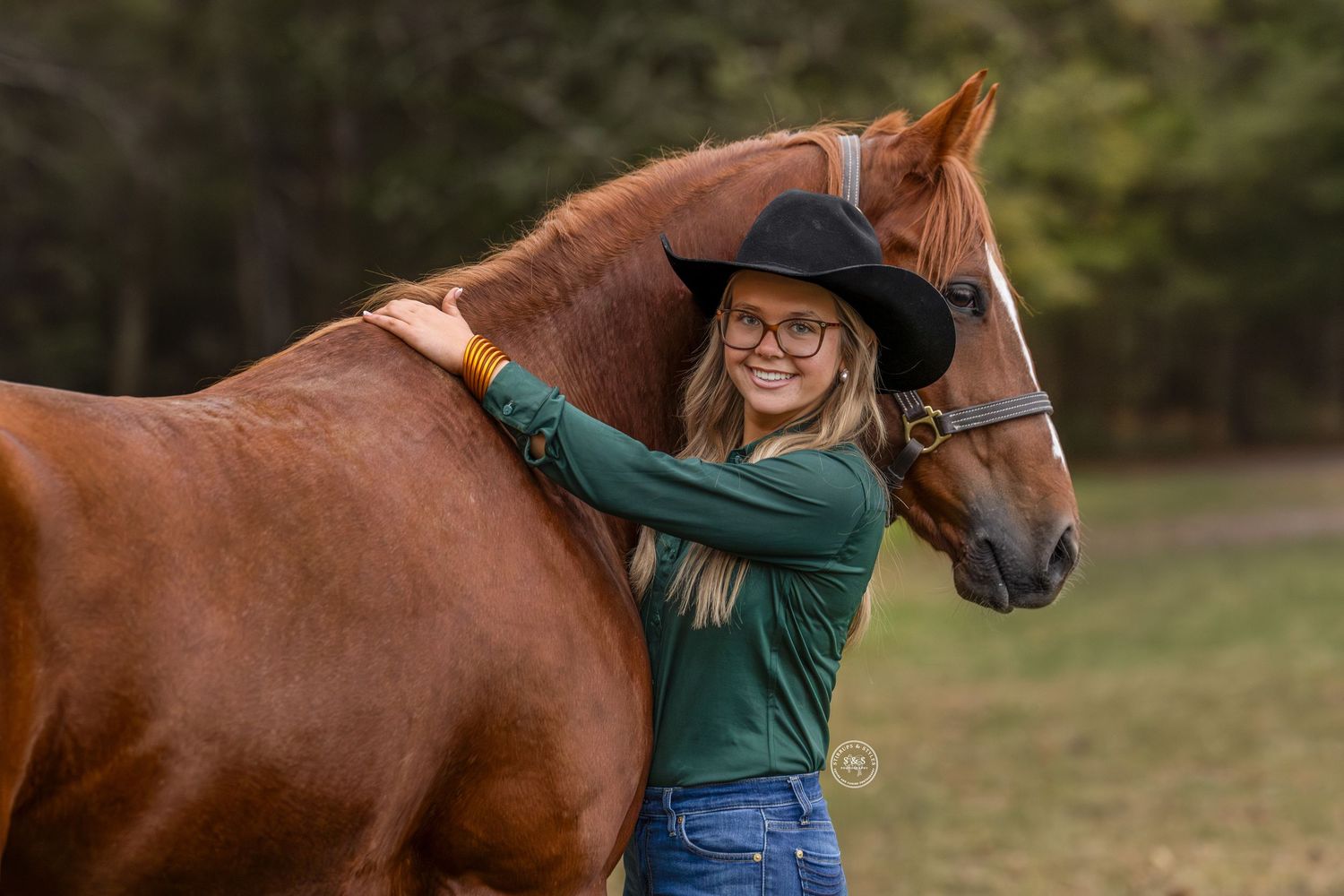 A series of images showing a person interacting with and grooming a chestnut brown horse in an outdoor setting.