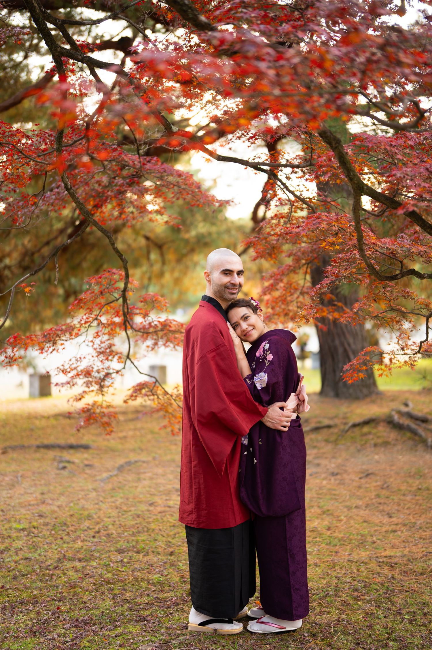 Couple in traditional Japanese attire hugging warmly under a canopy of brilliant red autumn maple branches.