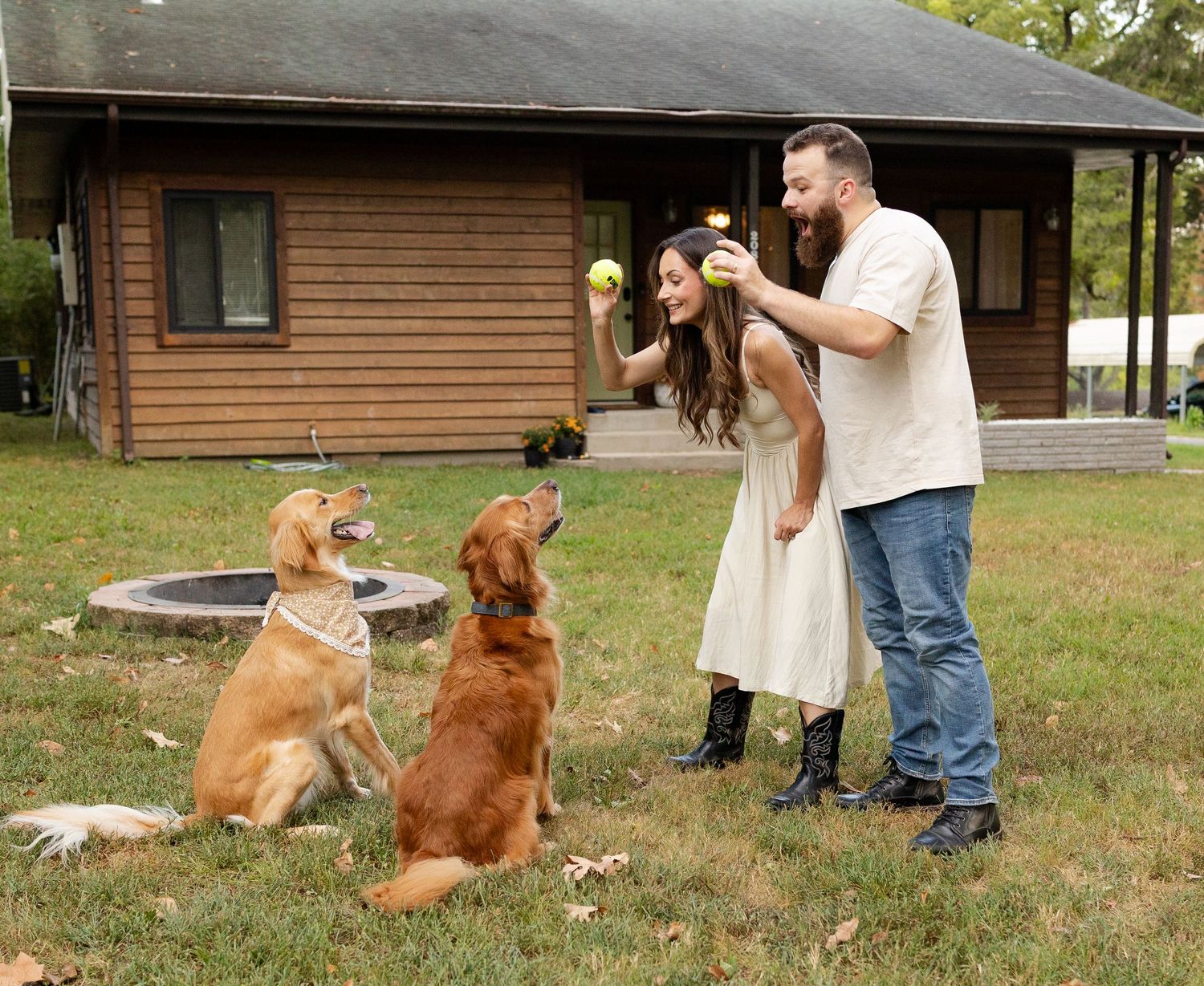 Two dogs sitting attentively while their owners hold tennis balls in front of a rustic cabin.