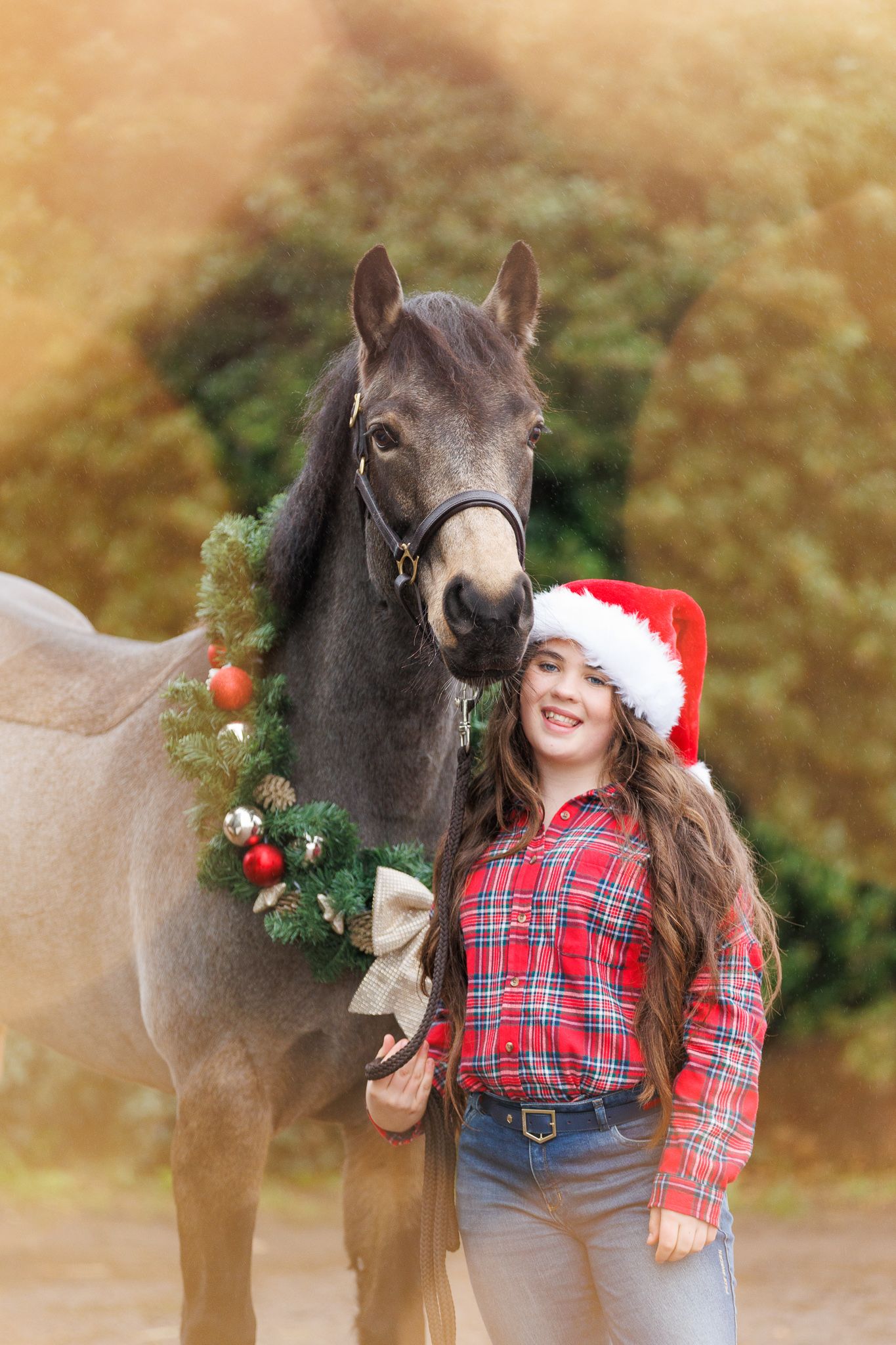 A series of photos showing a person with red hair interacting with a dark horse in a soft-focus outdoor setting.
