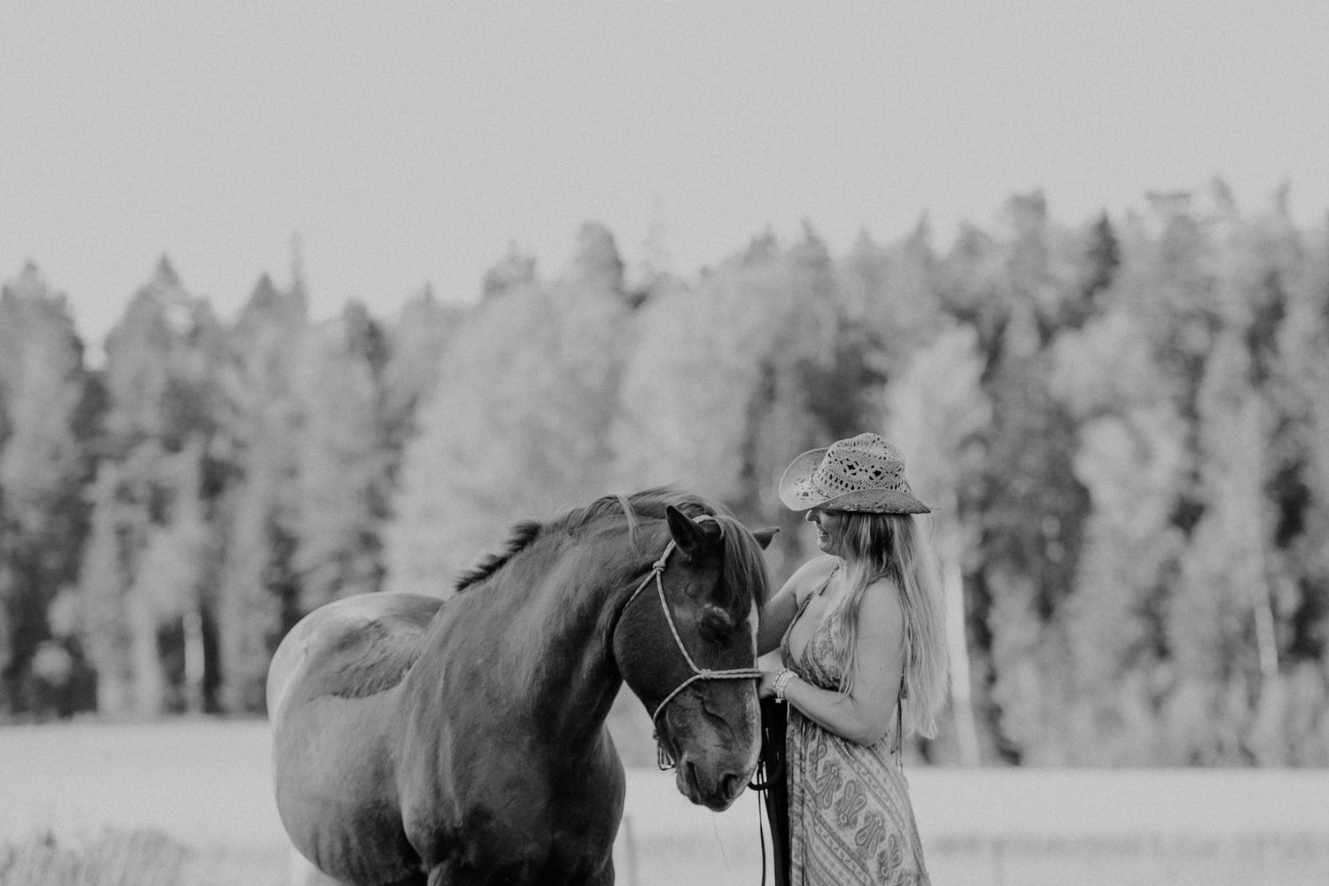 Someone in a winter coat pets a black and white horse in a snowy forest setting with wooden fencing.