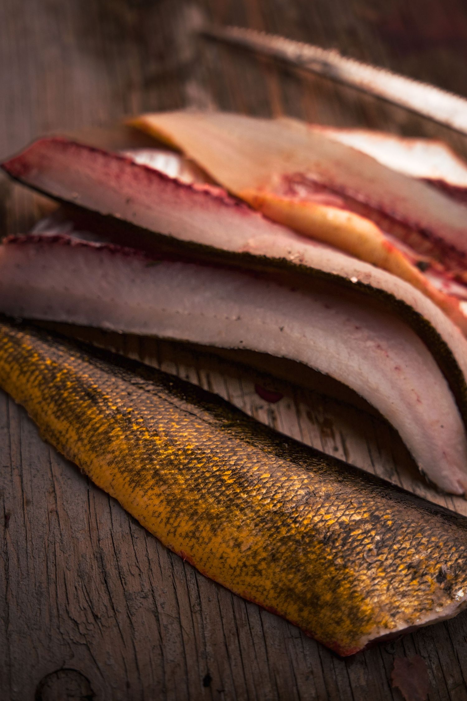 Close-up shots of freshly filleted salmon showing the vibrant orange flesh and skin texture.