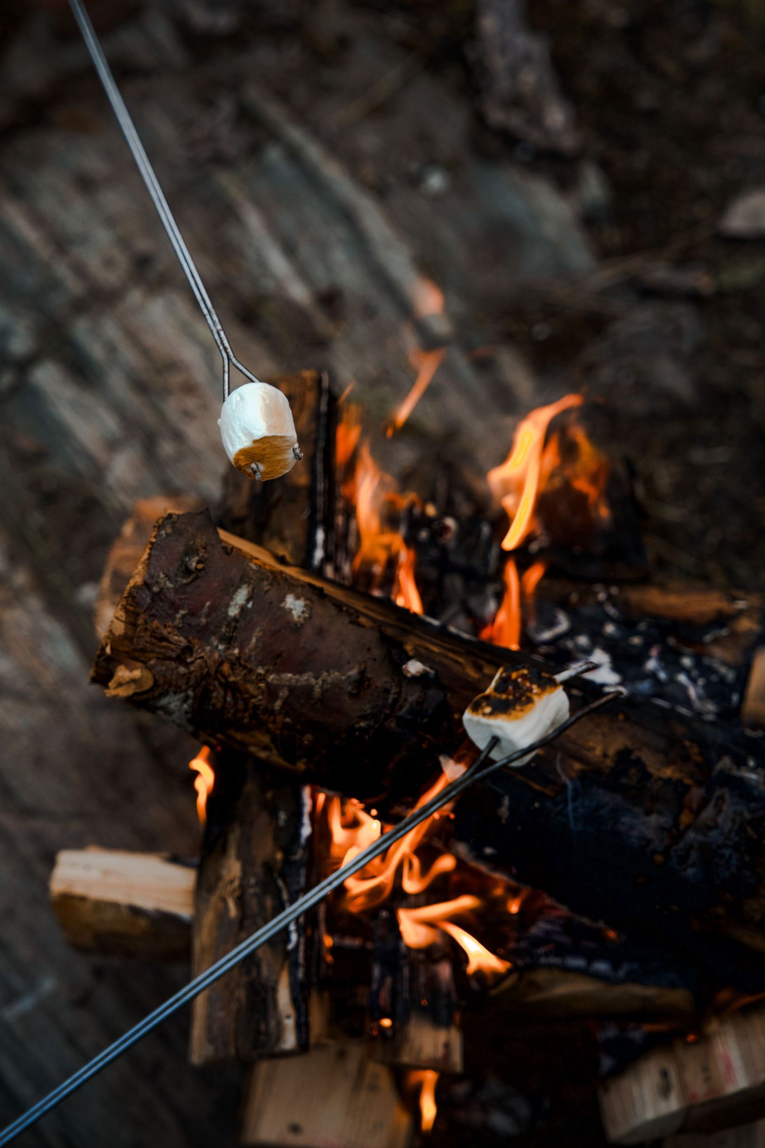 Marshmallow roasting over campfire flames with burning logs.