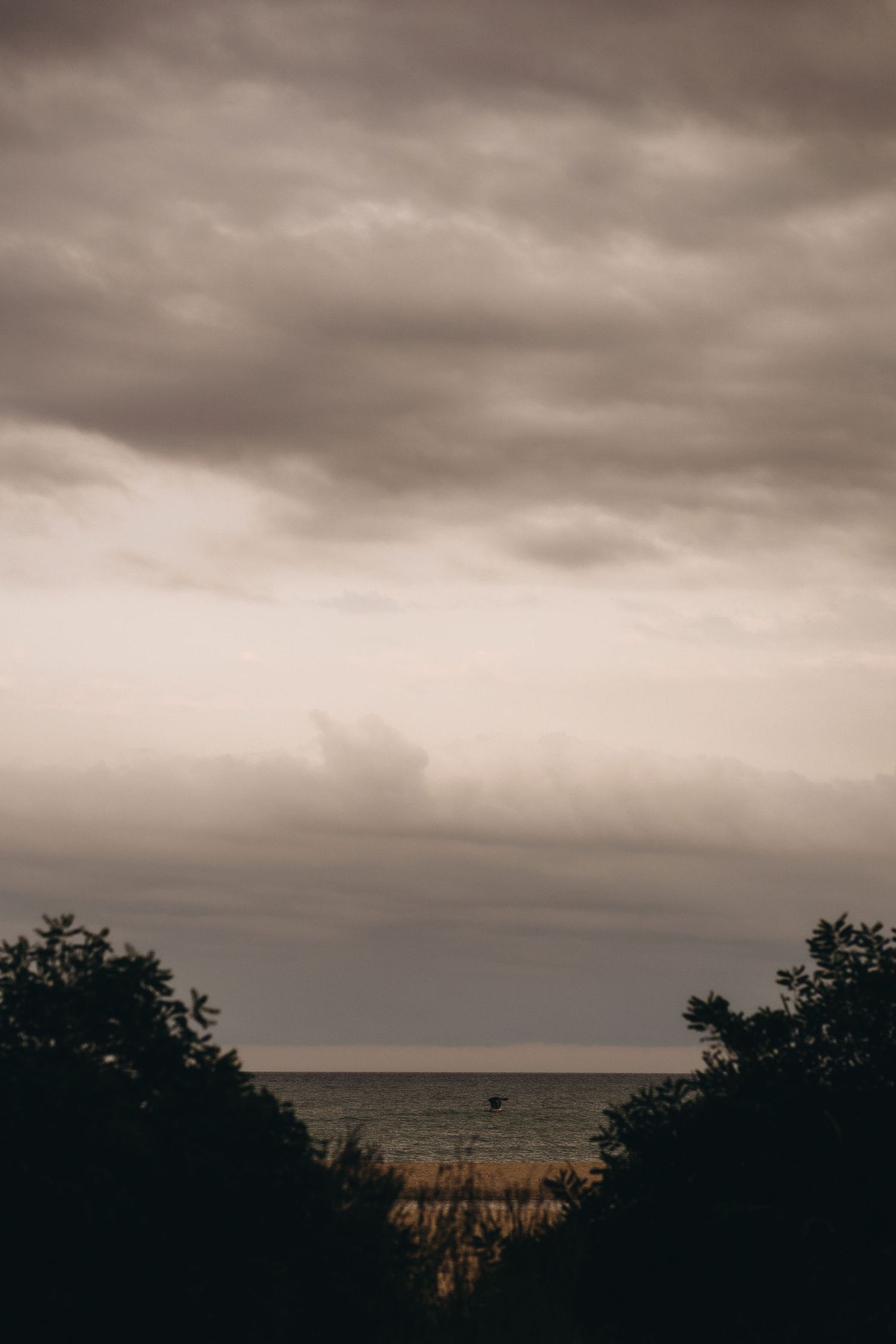 Dramatic cloudy sky at sunset with dark silhouettes of trees along the horizon.