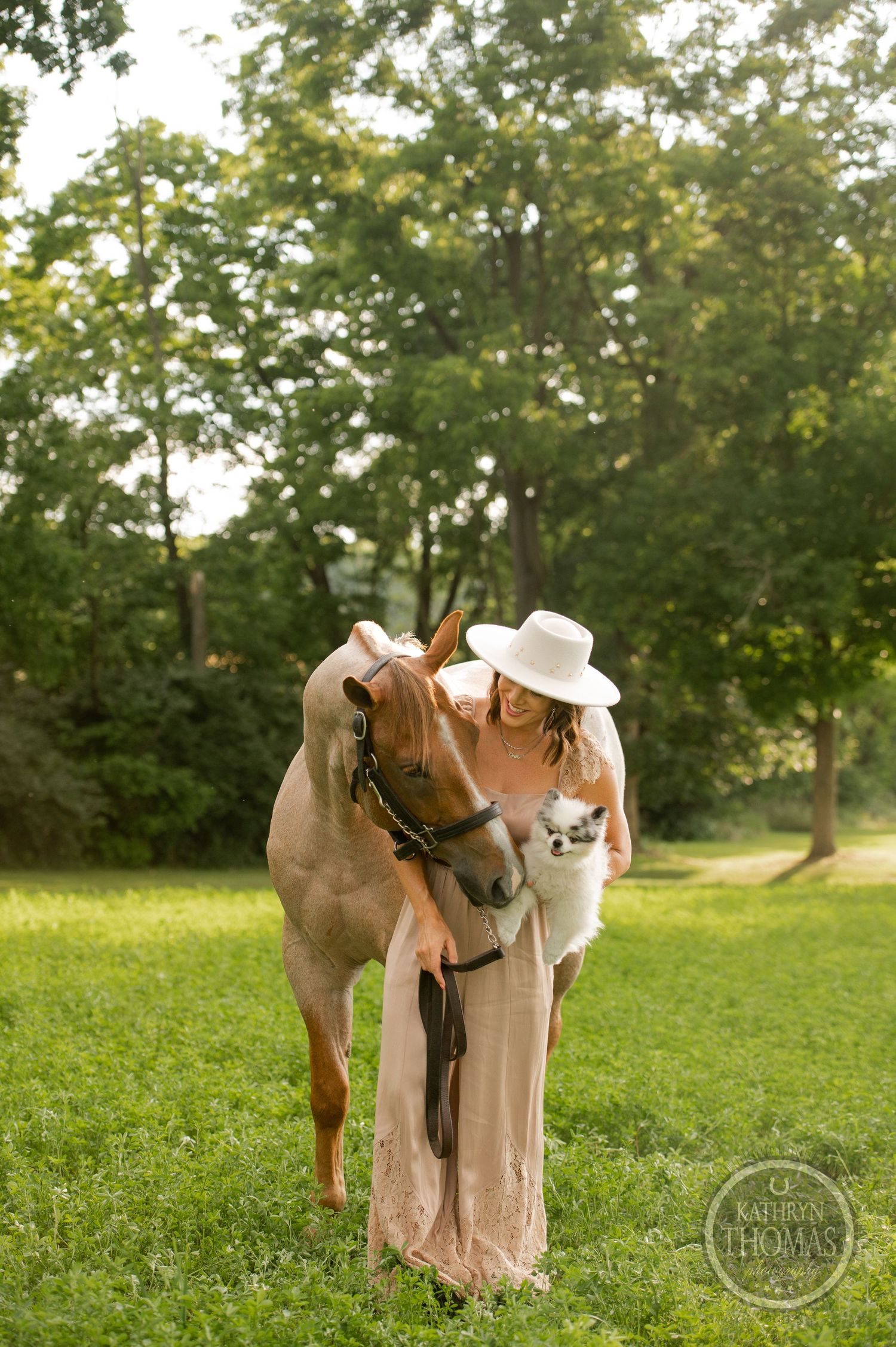 Beautiful horse and companion sharing tender moment in sunlit field with trees.