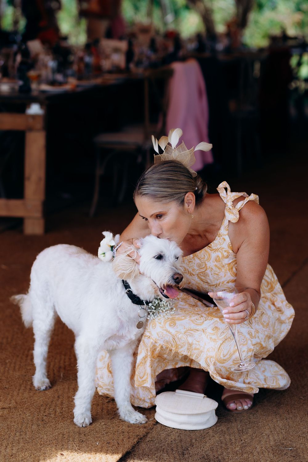 A small white fluffy dog kisses someone wearing a floral dress while bending down on a carpeted floor.