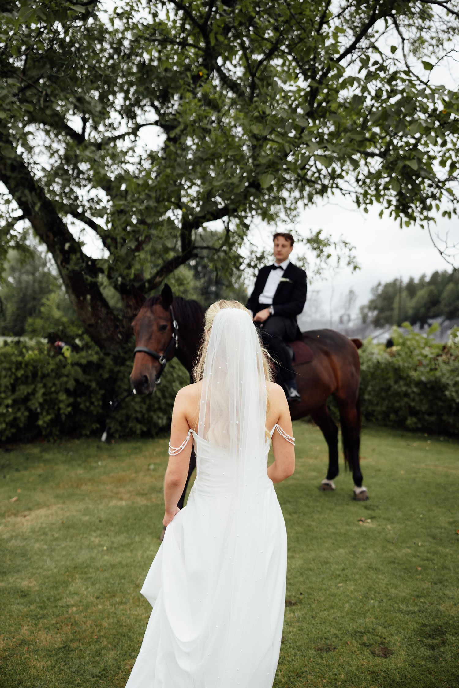 Bride in a white gown and long veil faces a groom in a black suit sitting on a brown horse beneath a large tree.