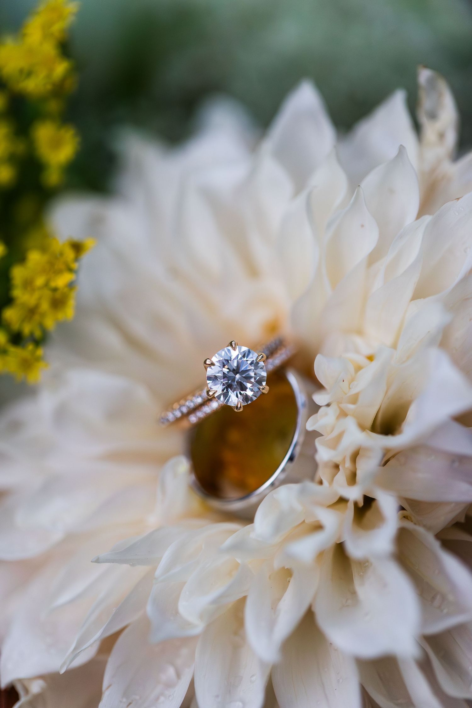 Elegant diamond solitaire engagement ring and wedding band nestled in a soft white dahlia flower.