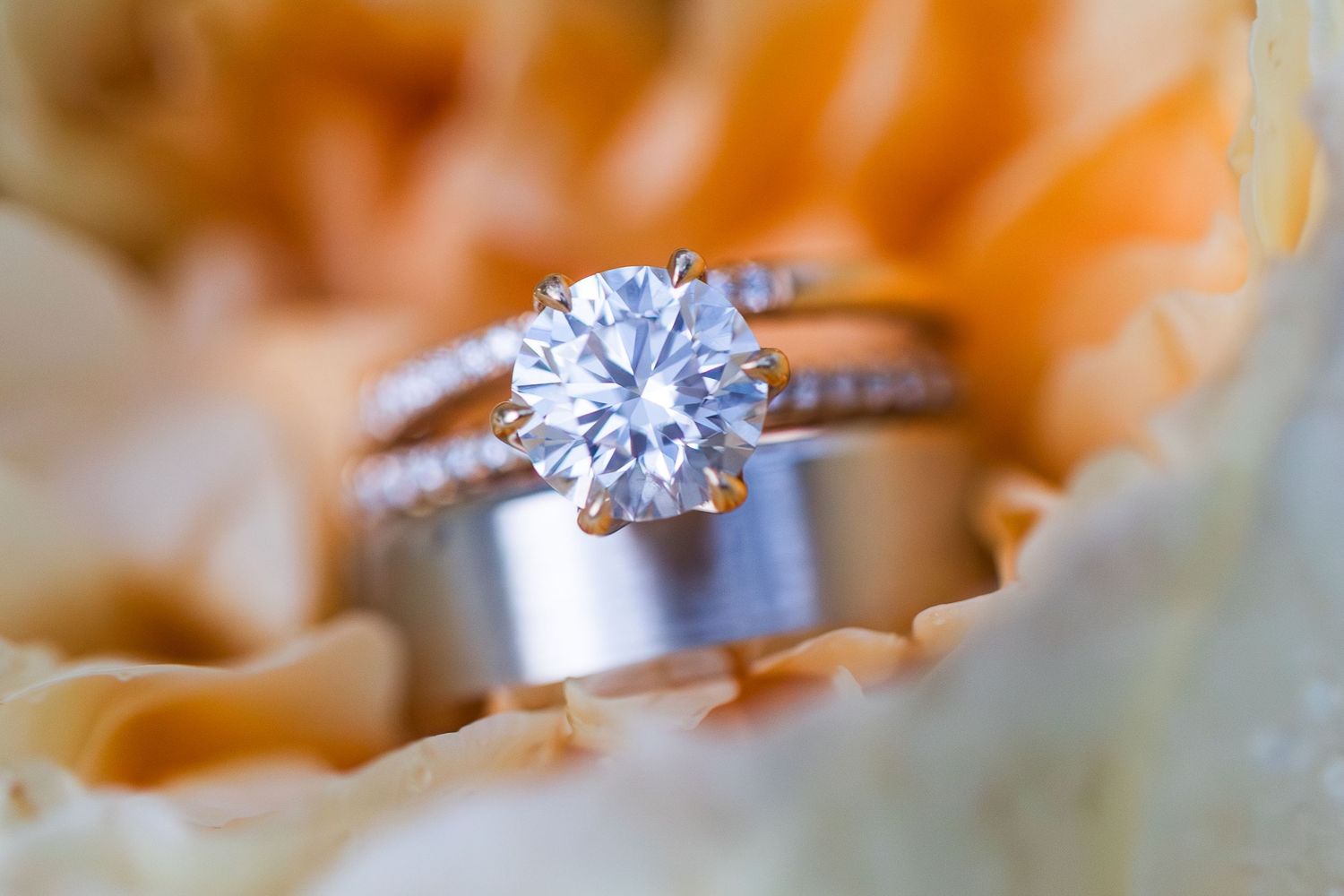 Close-up of a sparkling diamond solitaire engagement ring nestled with wedding bands on soft peach floral petals.