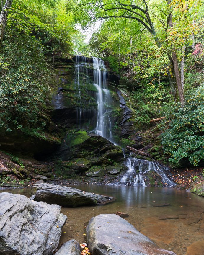 A serene waterfall cascades over mossy rocks into a calm pool surrounded by lush green forest trees.