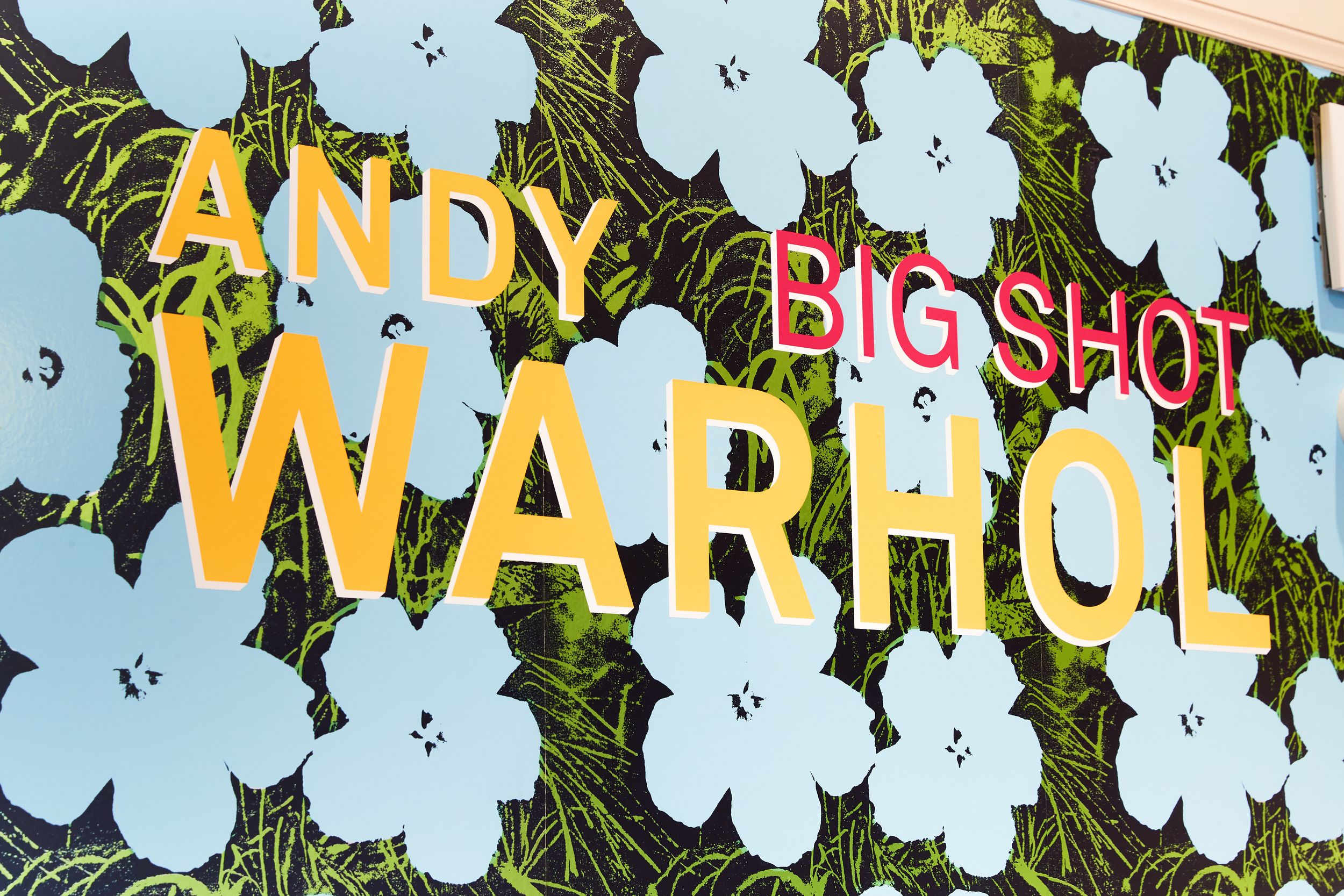 Andy Warhol Big Shot exhibition sign with blue flowers on dark background, bold yellow and pink letters.