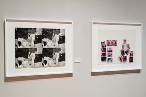 Two framed black-and-white and color photo artworks displayed on a white gallery wall in a modern museum exhibition.