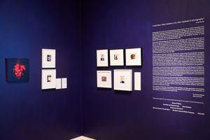 Museum gallery corner with navy walls showcasing framed photographs and exhibition text panel.