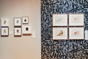 Art gallery wall display featuring framed drawings and photographs on white and patterned walls in a modern exhibition space.