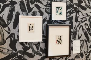 Three framed artworks featuring bird illustrations displayed on a decorative wallpaper background covered in black and white shoe prints.