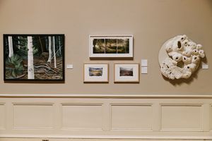 Art gallery wall displaying forest painting, framed landscape prints, and white sculptural piece on beige wall with wainscoting.