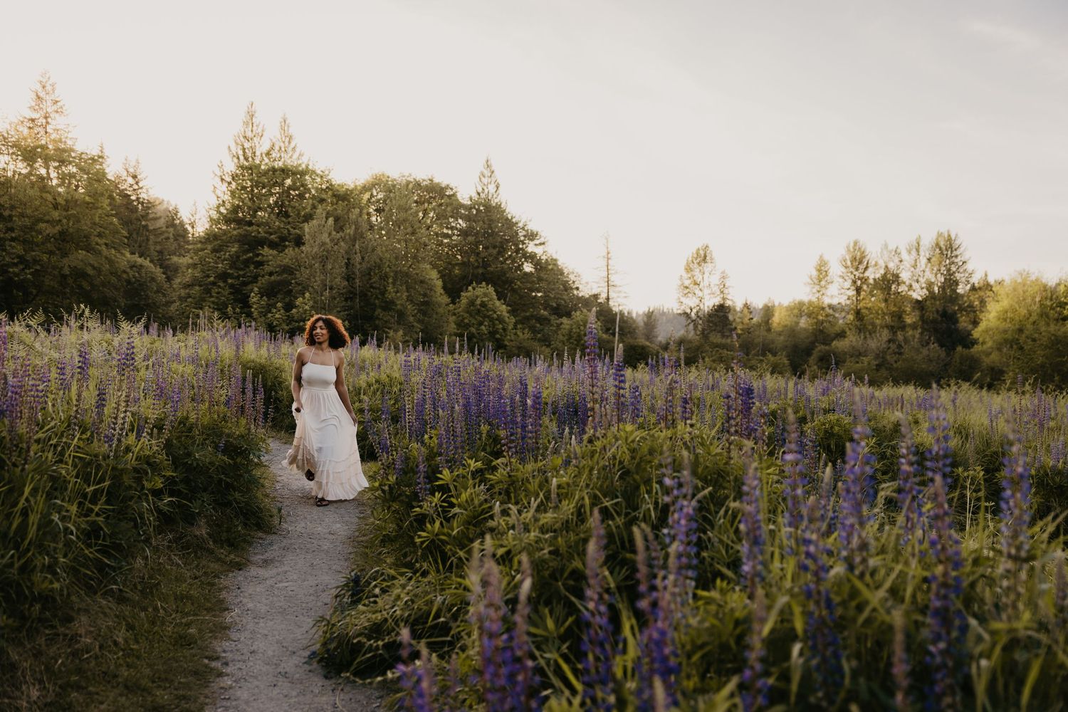 Woman in white dress walking along a winding path through a field of purple lupine flowers at sunset.