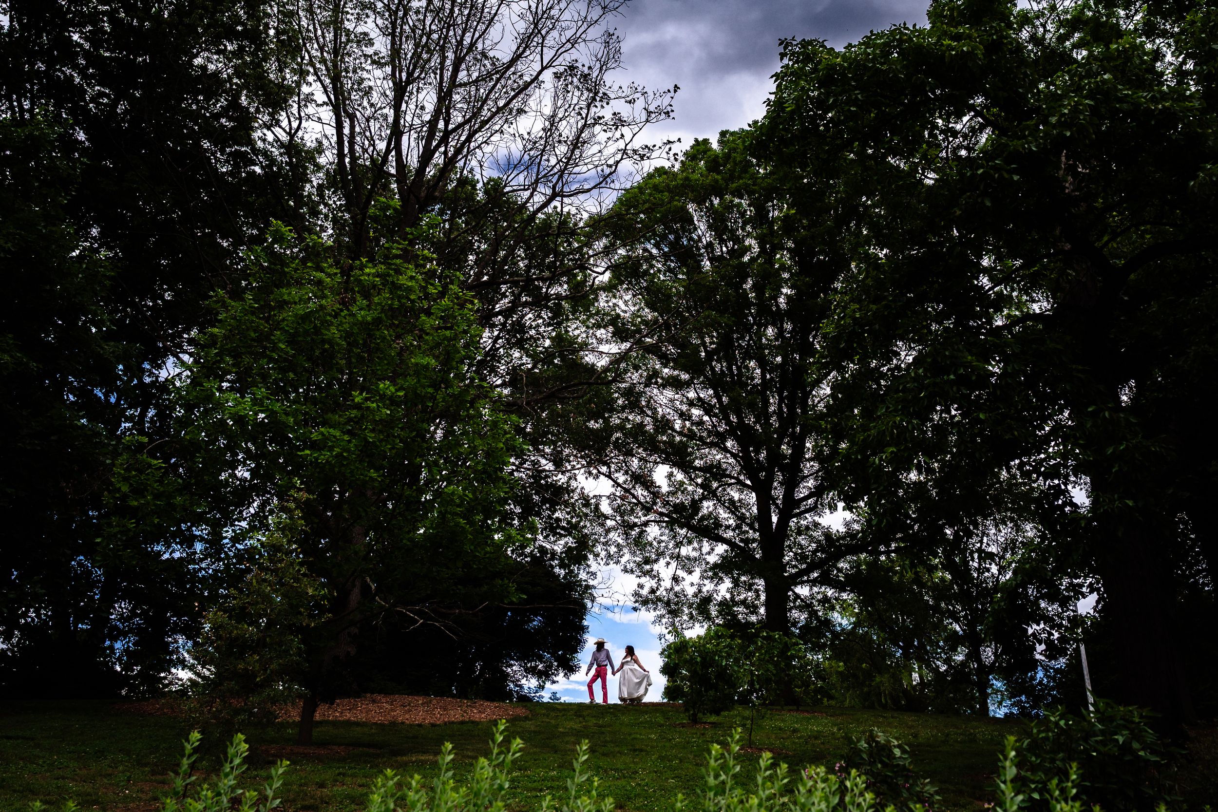 Silhouette of couple holding hands on grassy hill framed by large green trees against blue sky.