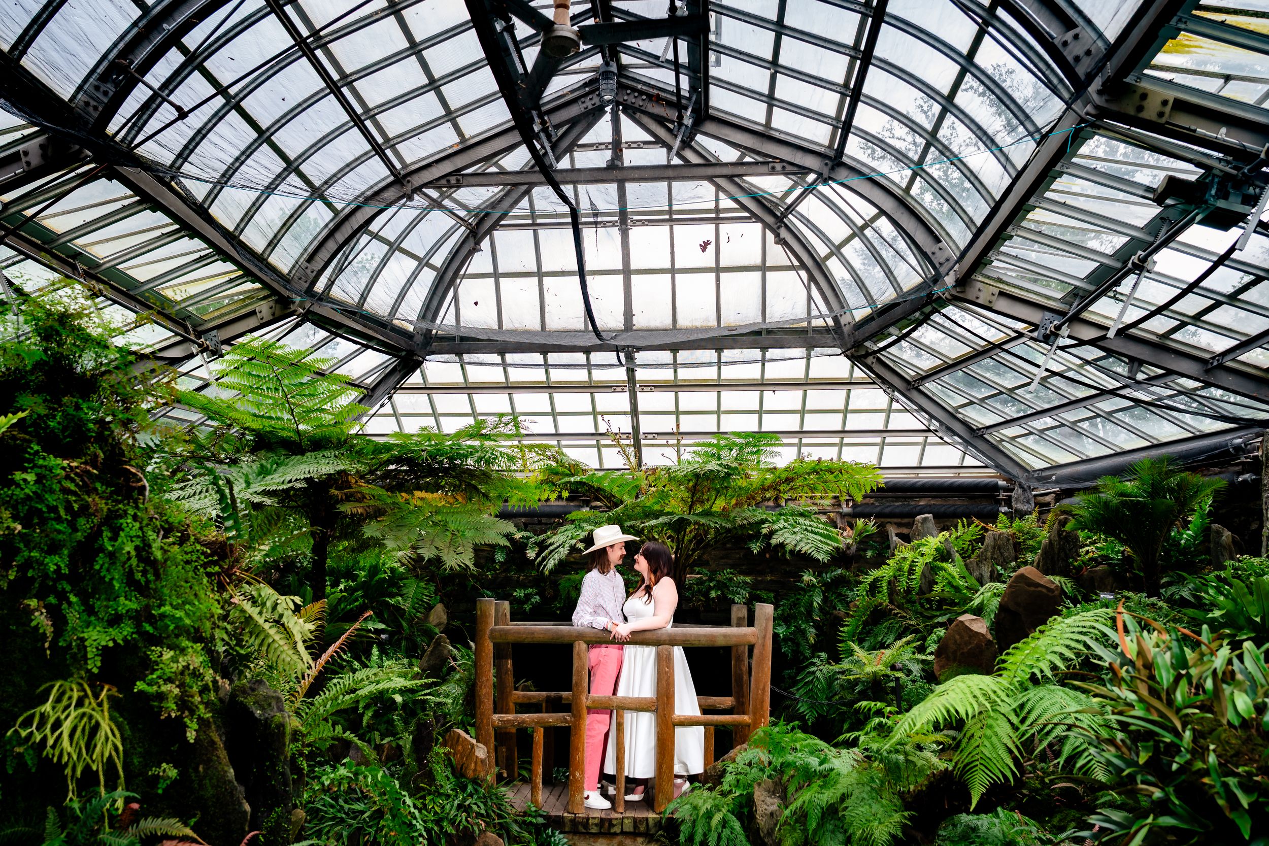 Couple standing on a wooden bridge surrounded by lush tropical ferns inside a stunning glass greenhouse.