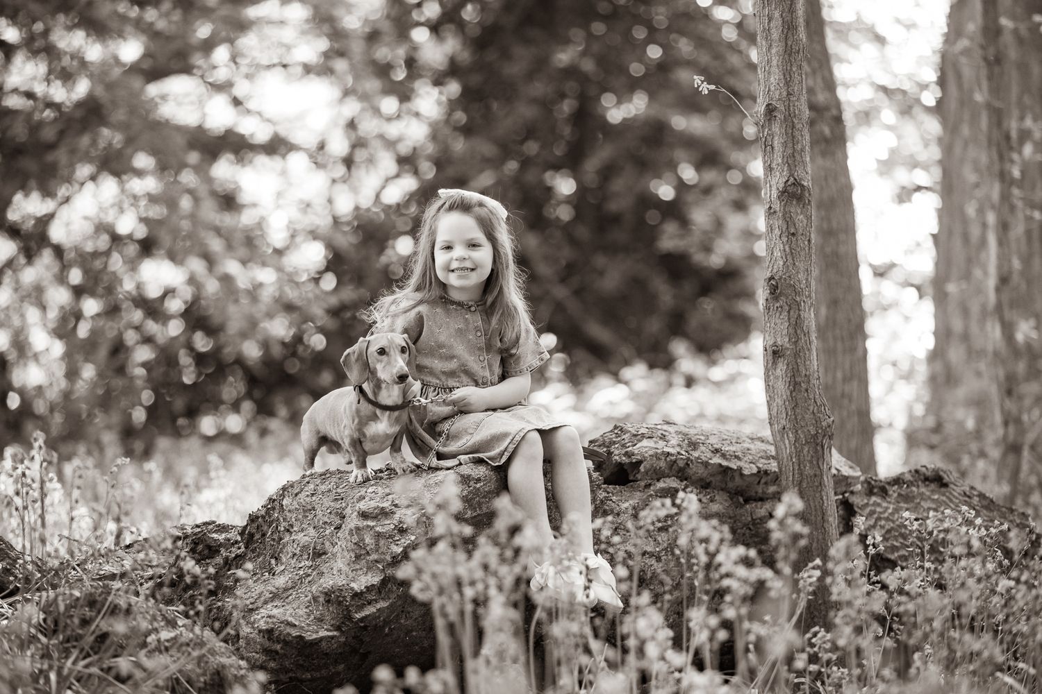 Young girl standing between a chestnut and grey horse near ornate stone gates in a lush green estate.
