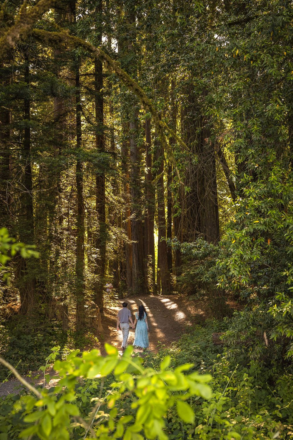 Couple walking hand in hand down a serene forest path surrounded by towering redwoods.