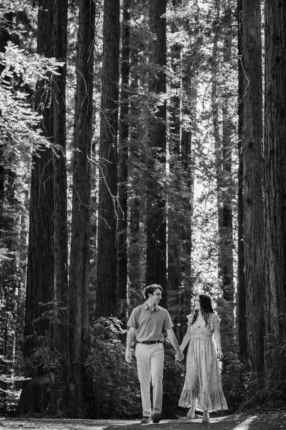 Couple holds hands walking through towering redwood forest in romantic black and white engagement photo.