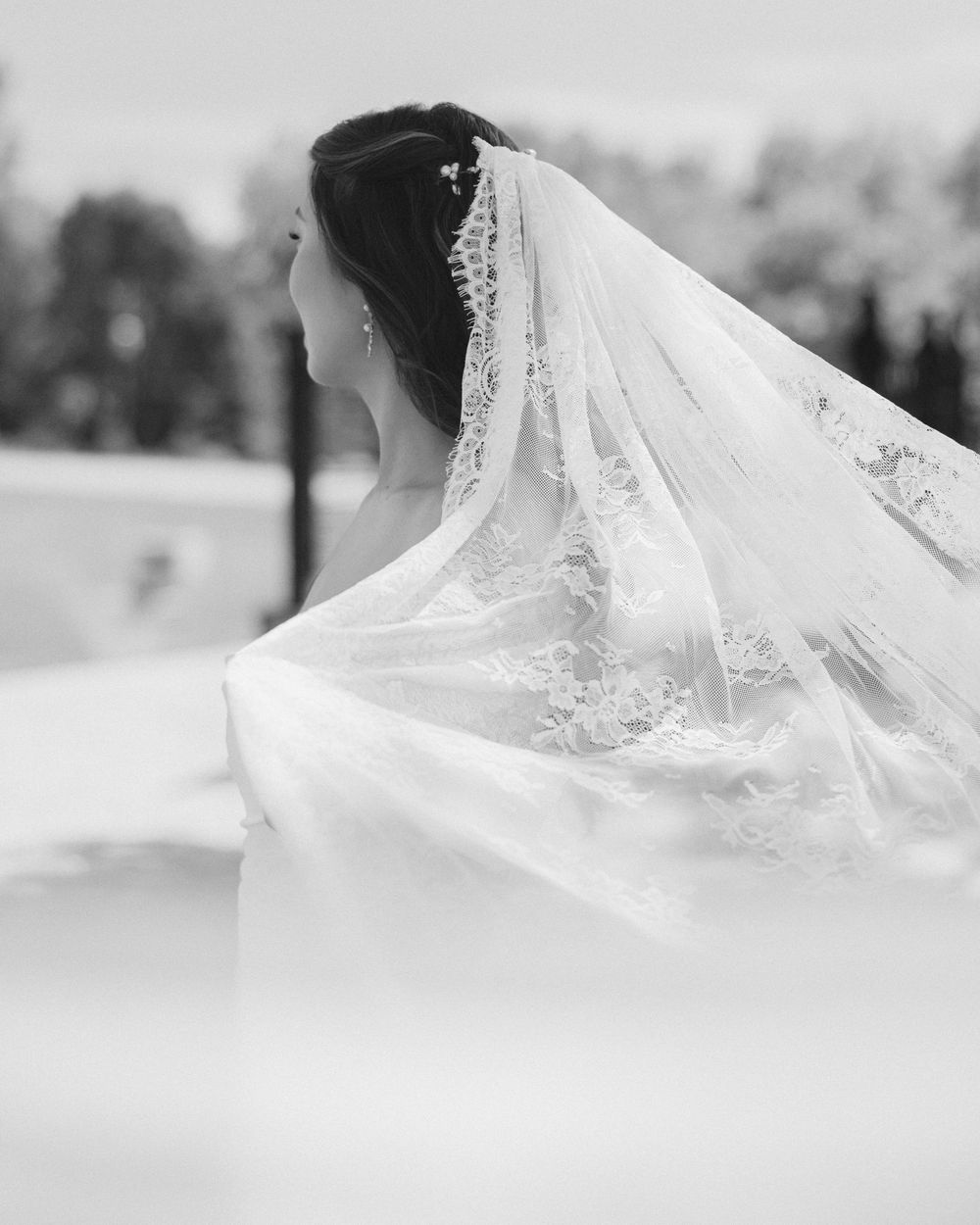 Elegant bride in lace cathedral veil captured in stunning black and white wedding portrait from behind.