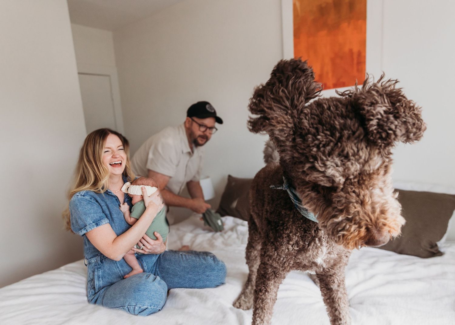 Happy family with newborn baby and fluffy brown doodle dog jumping on bed in bright modern bedroom.