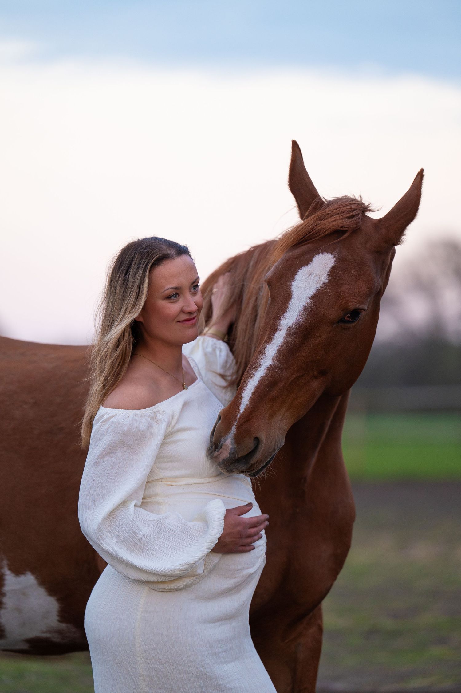 fotografering med gravid och häst vid solnedgång i tvååker
