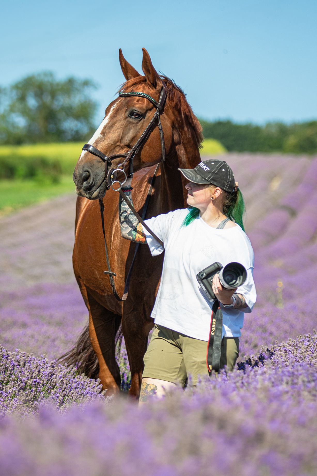 horse photography