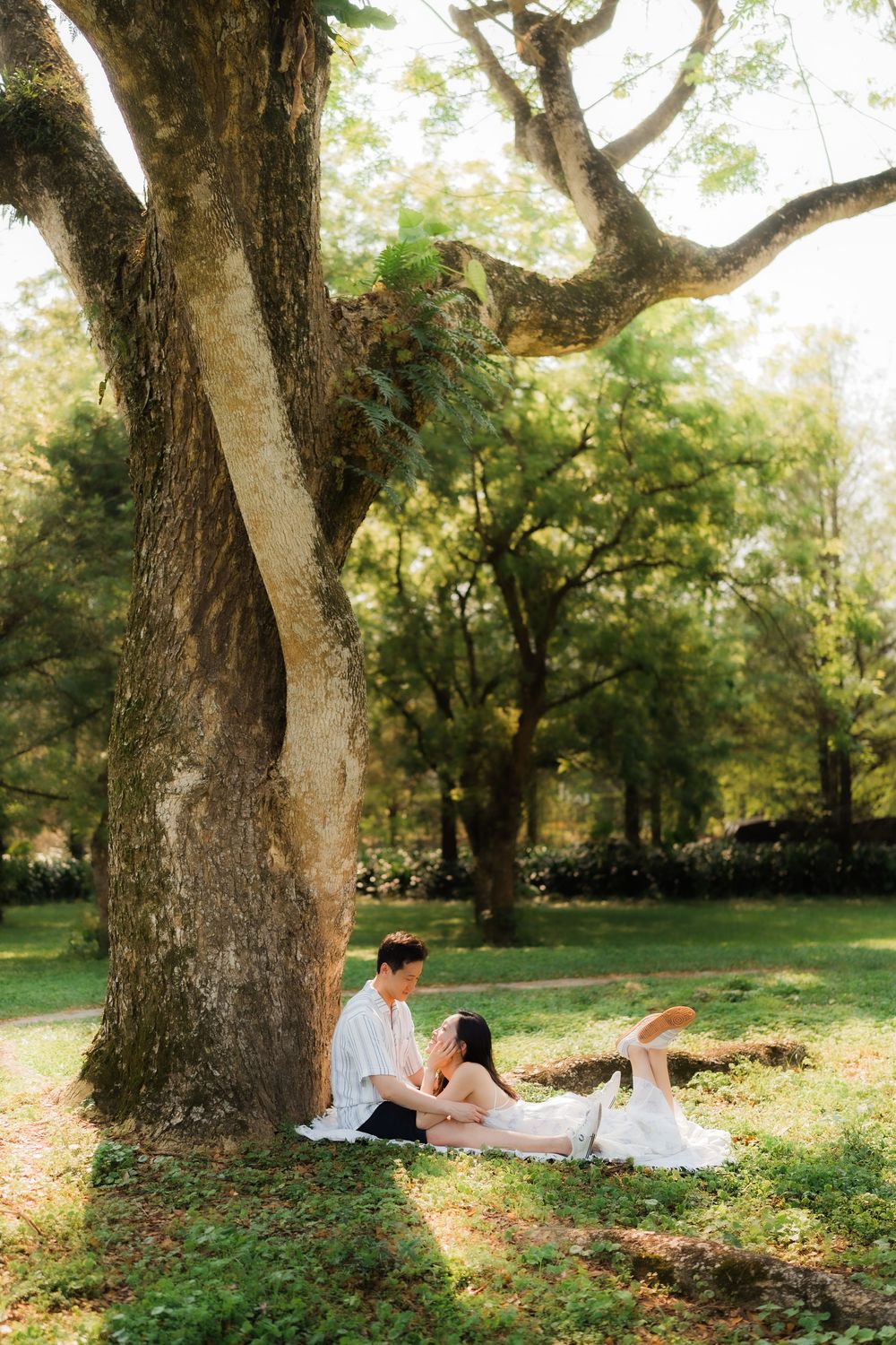 Couple relaxing under a large tree in a lush green park, sitting on a blanket in a romantic outdoor setting.