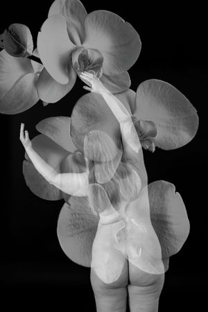 Boudoir photography / nude art photography