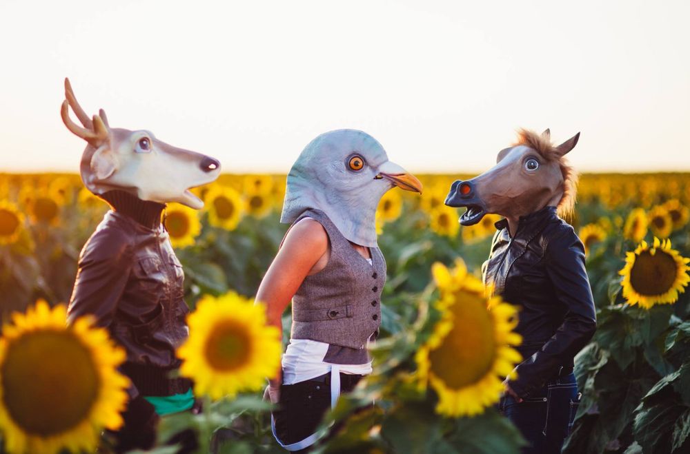 Three people wearing animal masks pose in a vibrant sunflower field at golden hour.