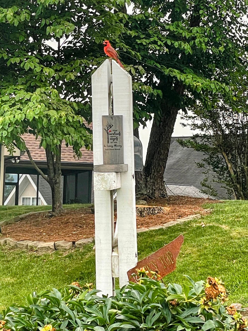 A bright red cardinal perches atop a white garden post with decorative elements surrounded by greenery and flowers.