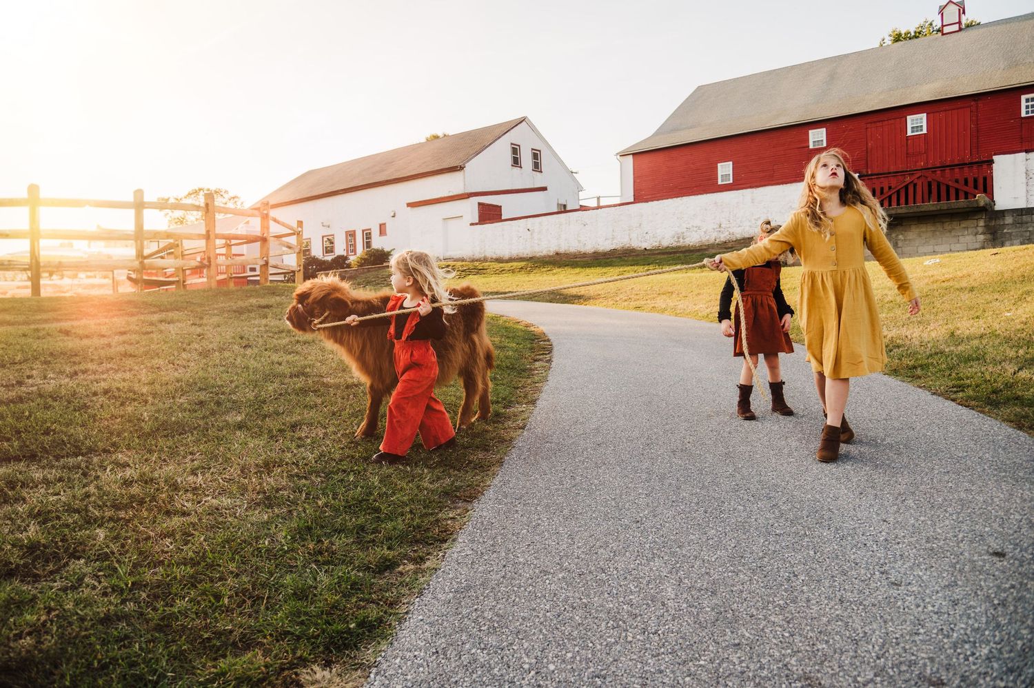 A family walks along a farm path at sunset with a red barn in the background.
