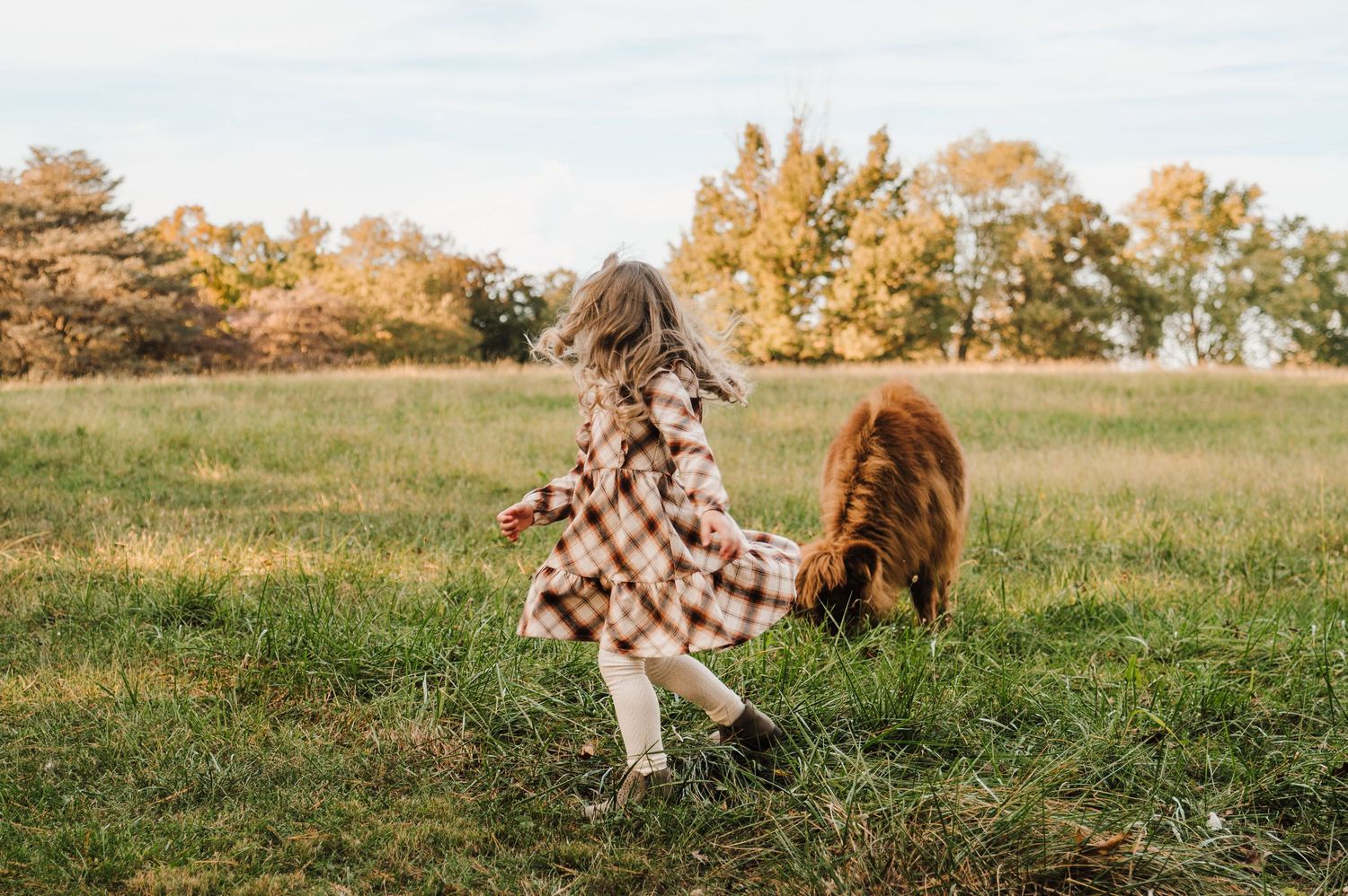 A child in a plaid dress dances joyfully next to a Highland cow in a grassy field.
