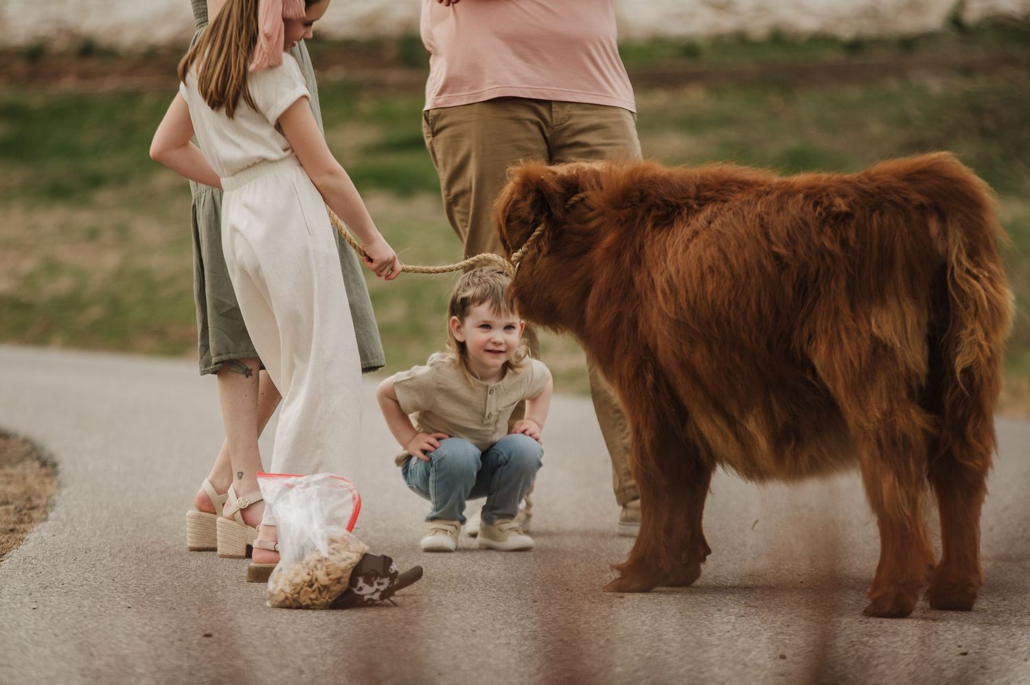 People interacting with a friendly brown highland cow on a rural path.