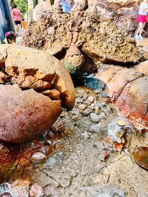 Ancient clay pottery fragments and rocks scattered near a waterway at an archaeological site with visitors in background.