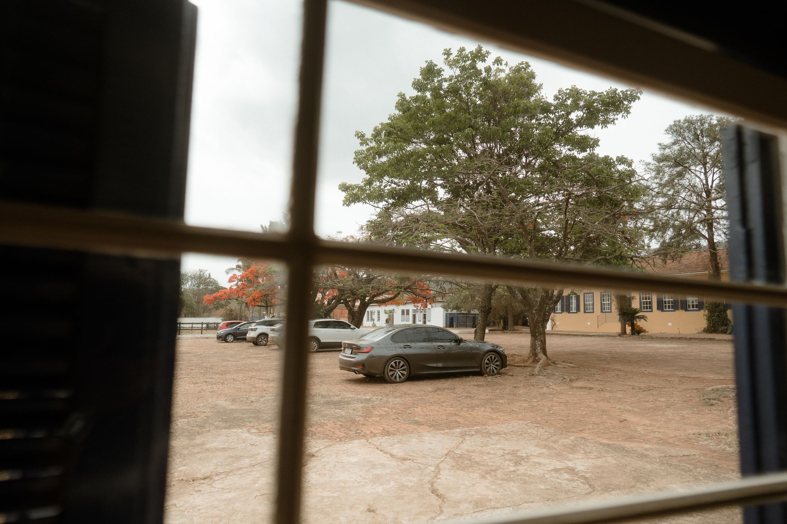 Retro view through window of classic car and tree in rural setting.